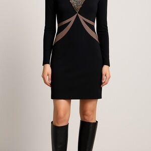 Dress V Neck long sleeve Black and Brown Women's size small